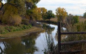 Poudre River Trail